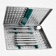 Dental Prophy Set