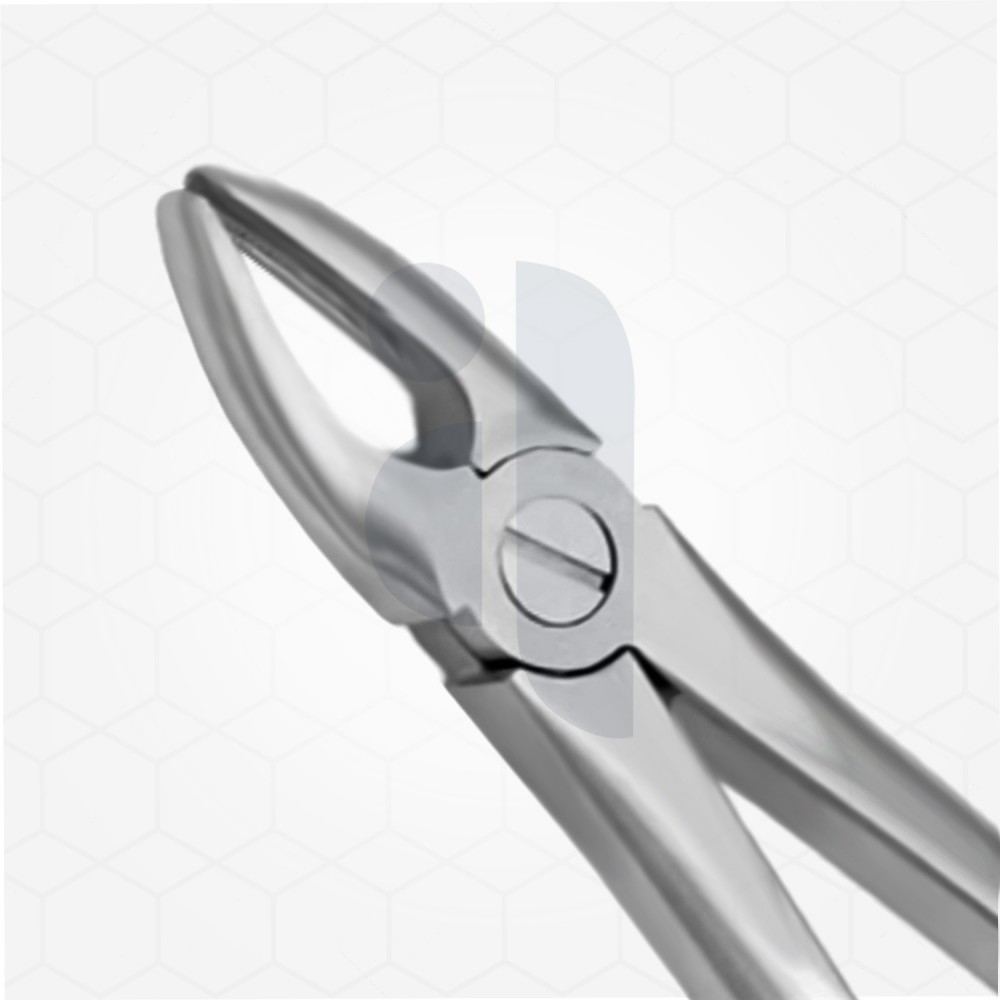 1 Extraction Dental Forceps
