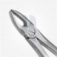 1 Extraction Dental Forceps