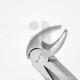 13 Extraction Dental Forceps