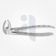 13 Extraction Dental Forceps