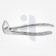 13 Gentle Extraction Forceps