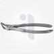 31 Extraction Dental Forceps