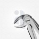 33 Extraction Dental Forceps