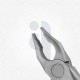 34N Atraumatic Extra Fine Dental Forceps