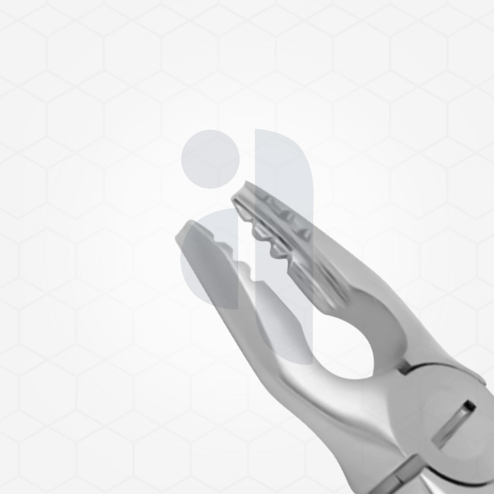 34N Gentle Extraction Forceps