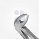 4 Extraction Dental Forceps