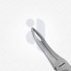 49 Extraction Dental Forceps