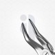 51 Extraction Dental Forceps