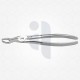 67A Extraction Dental Forceps