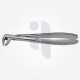 73 Extraction Dental Forceps