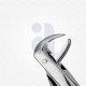 74 Extraction Dental Forceps