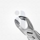 79 Extraction Dental Forceps                    