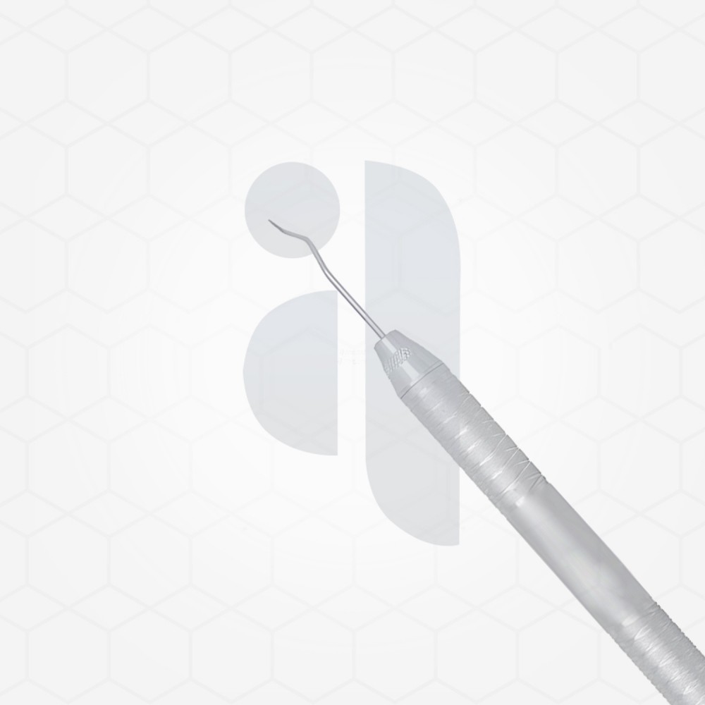 Dental 2H Explorer