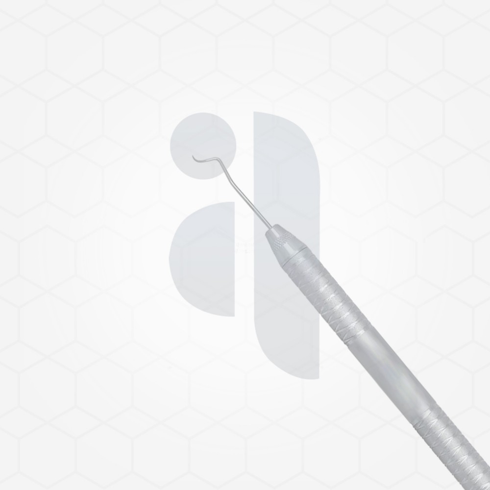 Dental 2 Explorer