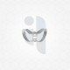 Dental Rubber Dam Clamp 210