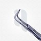 Surgical Bailey Forceps