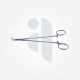 Surgical Bailey Forceps