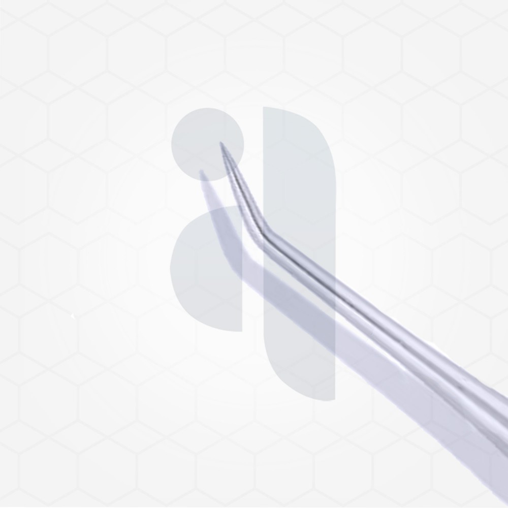 Cogswell B Dental Elevator 