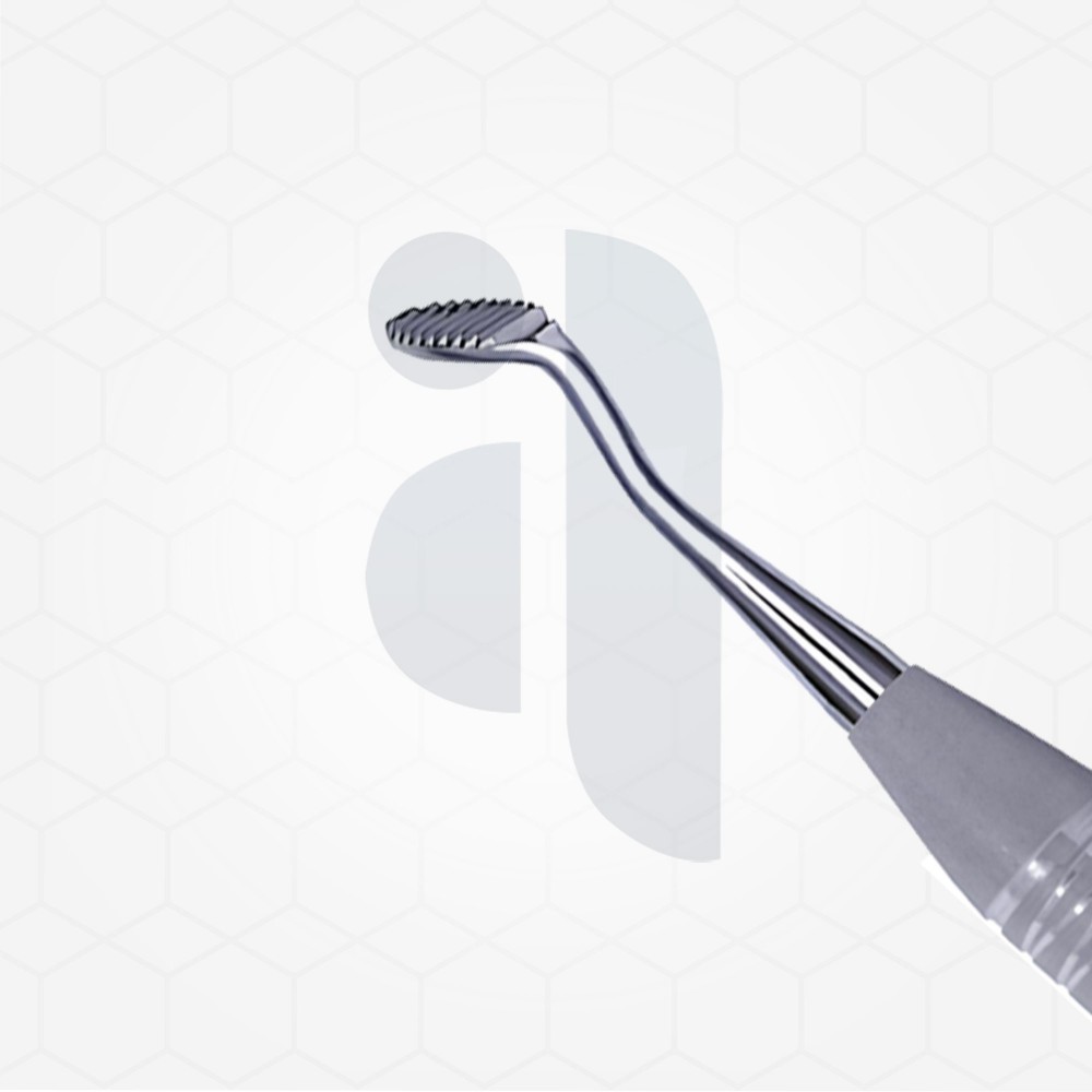 Howard Bone File Double-Ended