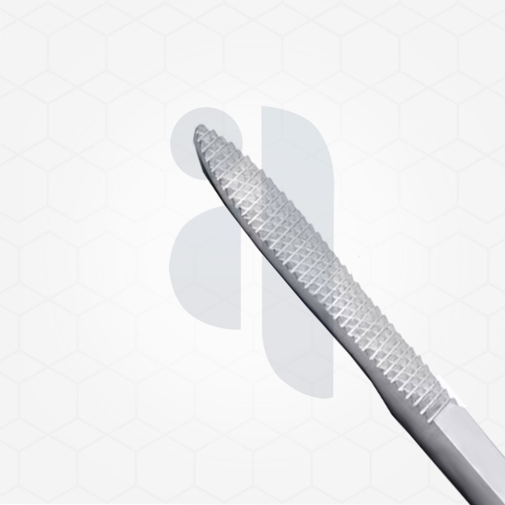 Joseph Rasp Stainless Steel With Flat Handle
