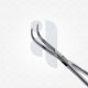  Lawrence Forceps 7 1/4''