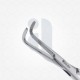 Mixter Forceps 8 1/2''