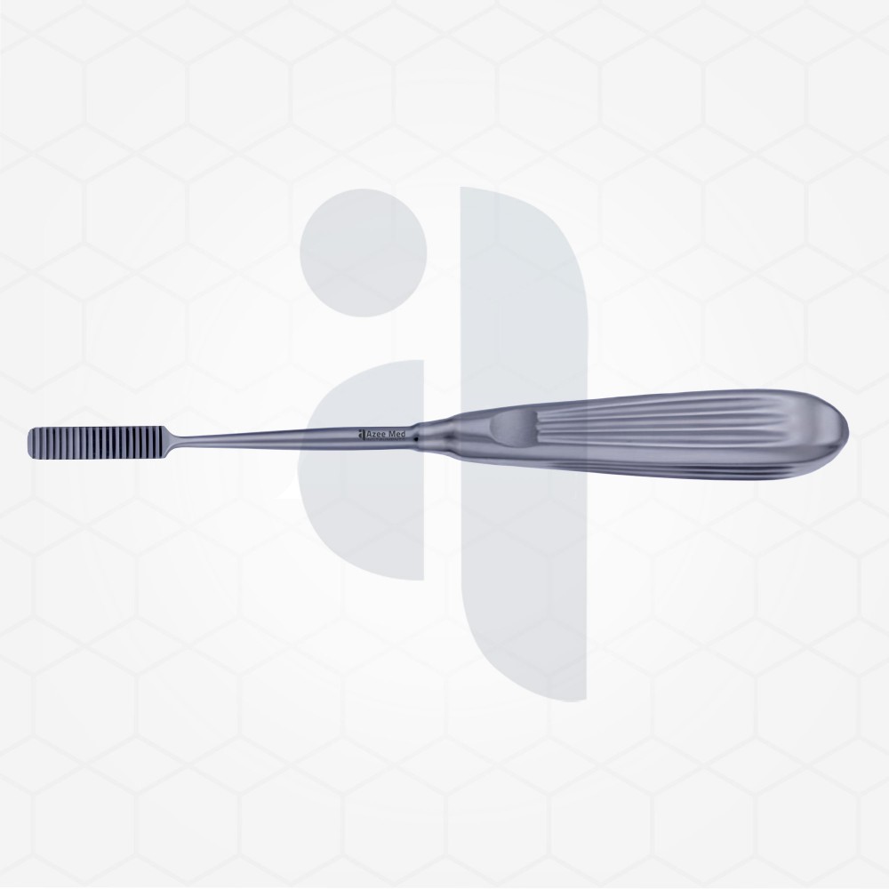 Stainless Steel Parkes Rasp