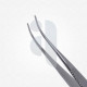 Bracken Iris Forceps