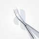 Maumenee Cross-Action Colibri Corneal Forceps