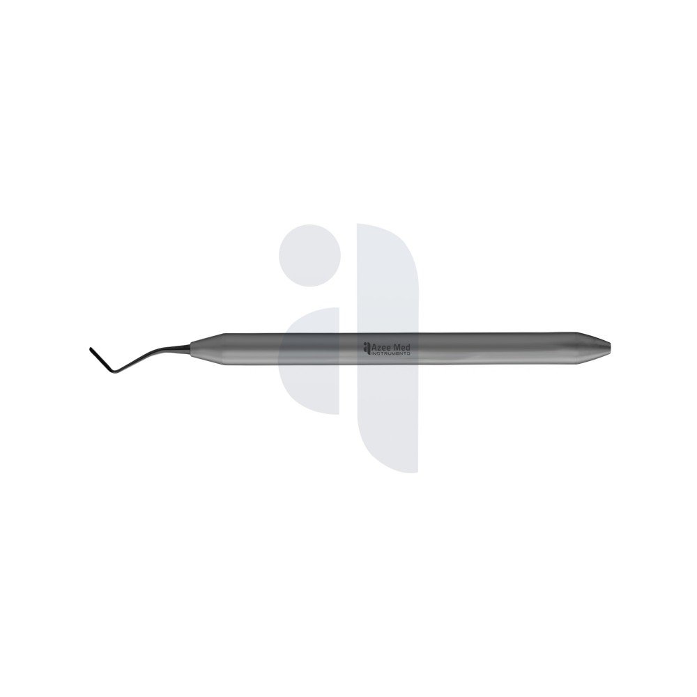 SE Posterior, Right, Black Line