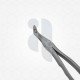 Extraction Forceps Lower Roots