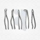 Dental Colorado Implant Kit Dental Colorado Implant Kit