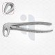 13 Atraumatic Extra Fine Dental Forceps