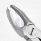 17 Extraction Dental Forceps