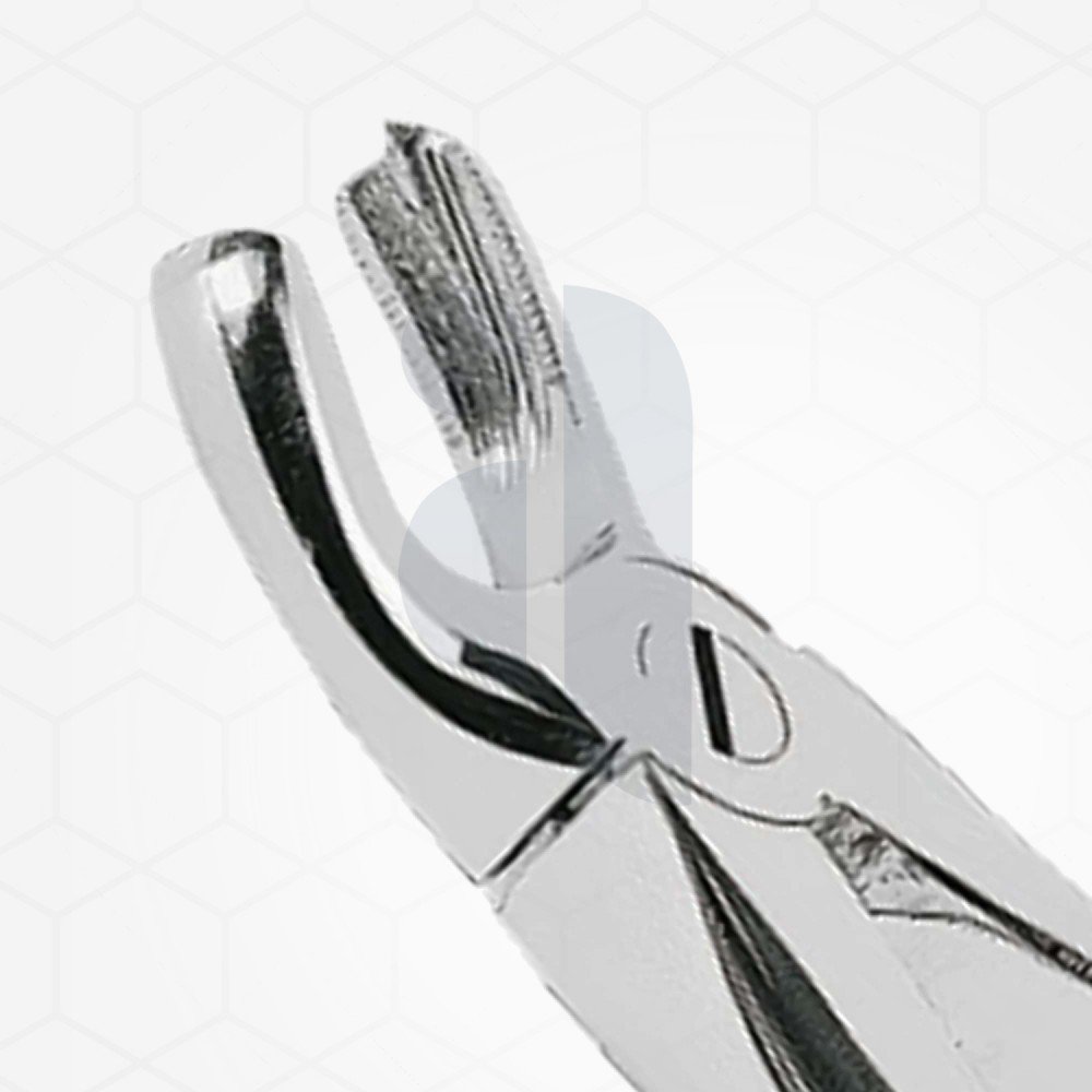 18 Extraction Dental Forceps 