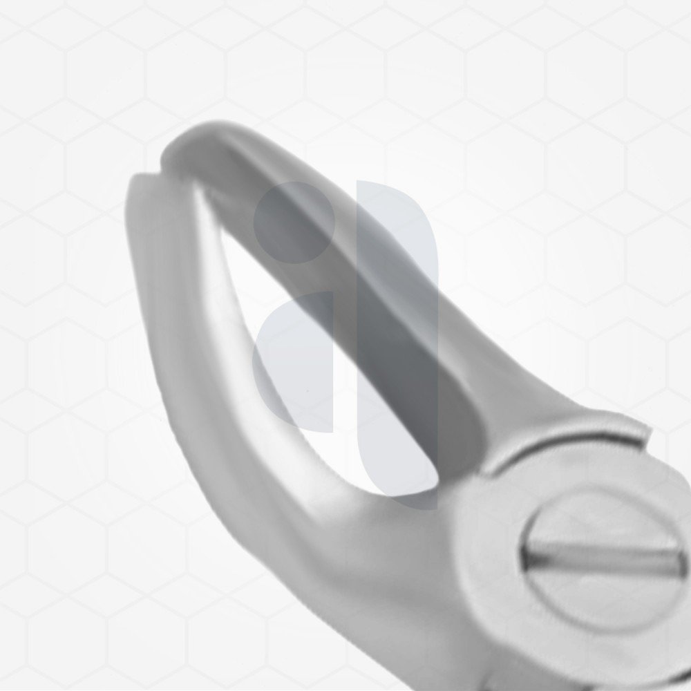 19 Extraction Dental Forceps