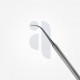 Frontal Ostium Seeker