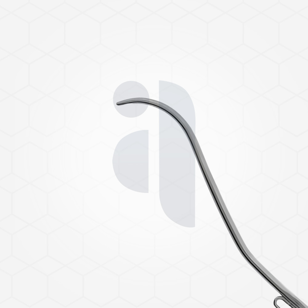 Allport Incus Hook