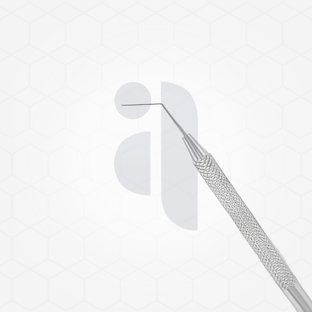 Micro nucleus manipulator