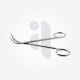 Fomon Lower Lateral Scissors