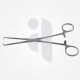 Bernard-Staude towel clamp forceps