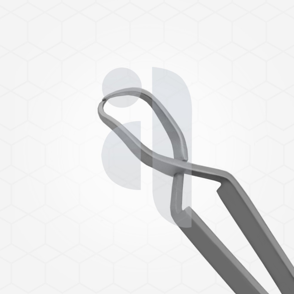 Schaedel towel clamp forceps Schaedel towel clamp forceps