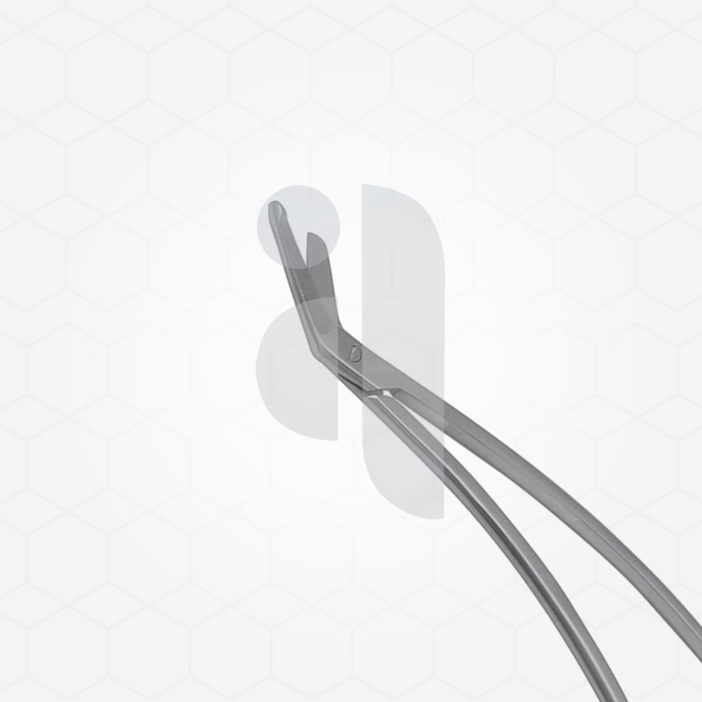 Schmieden-Taylor Dissecting Scissor