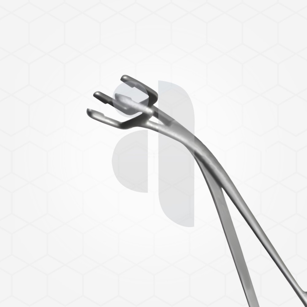 Harrison Sterilizing Bowl Forcep Harrison Sterilizing Bowl Forcep